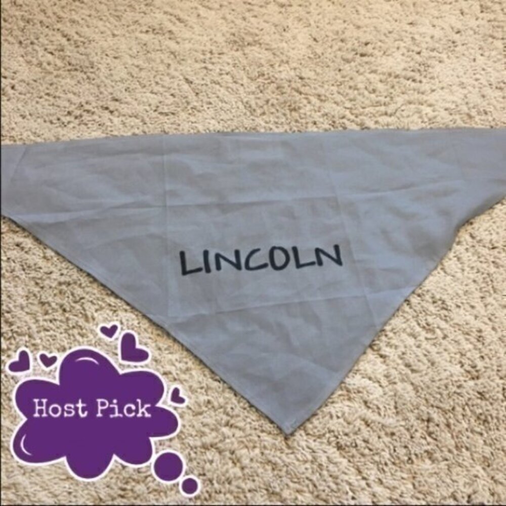 Lincoln pet bandana